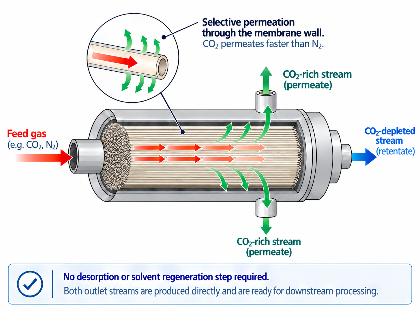 Illustration of hollow-fiber membrane separating CO2-rich permeate from CO2-depleted retentate without solvent regeneration